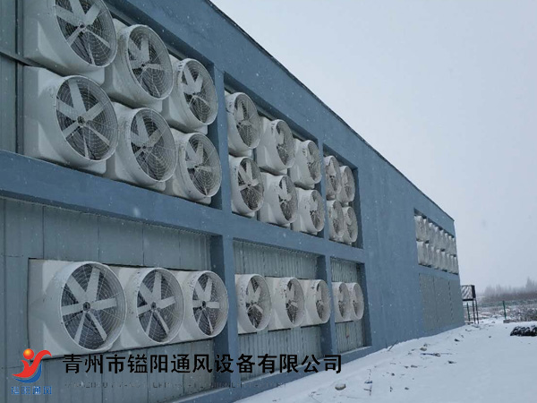 負(fù)壓風(fēng)機(jī)2